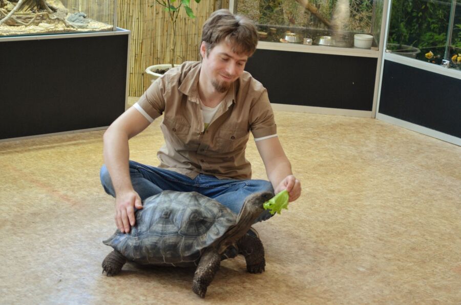 15-килограммовую малышку-черепаху с хорошим аппетитом привезли в Кострому