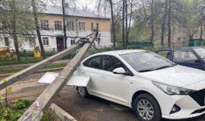 Берегите автомобили: ветер в Костроме роняет на них деревья и столбы