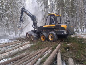 Завершение зимней заготовки и ответственное лесовосстановление