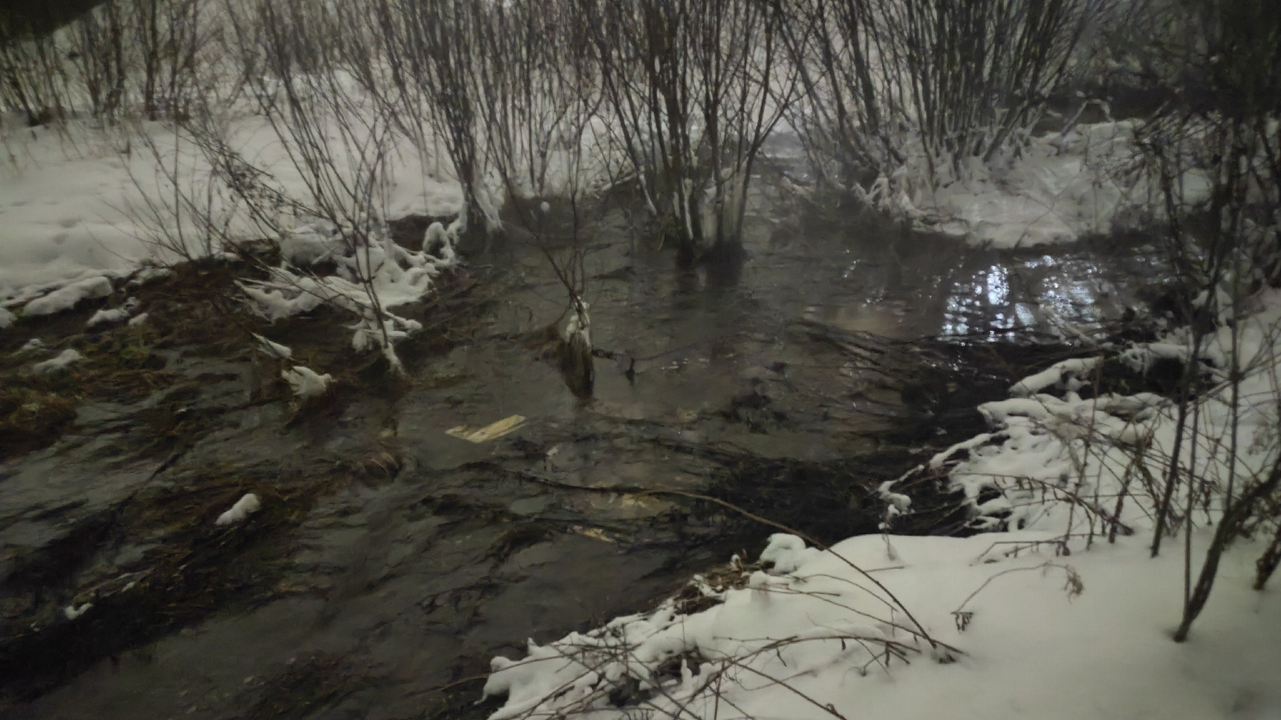 Горячая река, снежные берега: в Костроме обнаружили странный водоем