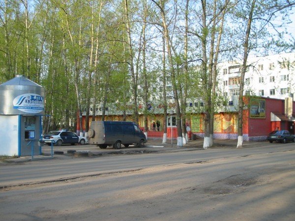 «Вечеринки с крокодилами» довели жителей Юбилейного до исступления