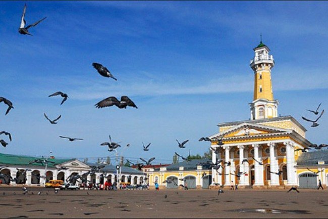 Костроме угрожают заразные голуби