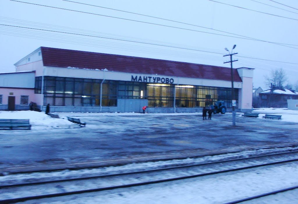 Уродливые дома в Мантурово опасны страшными инфекциями