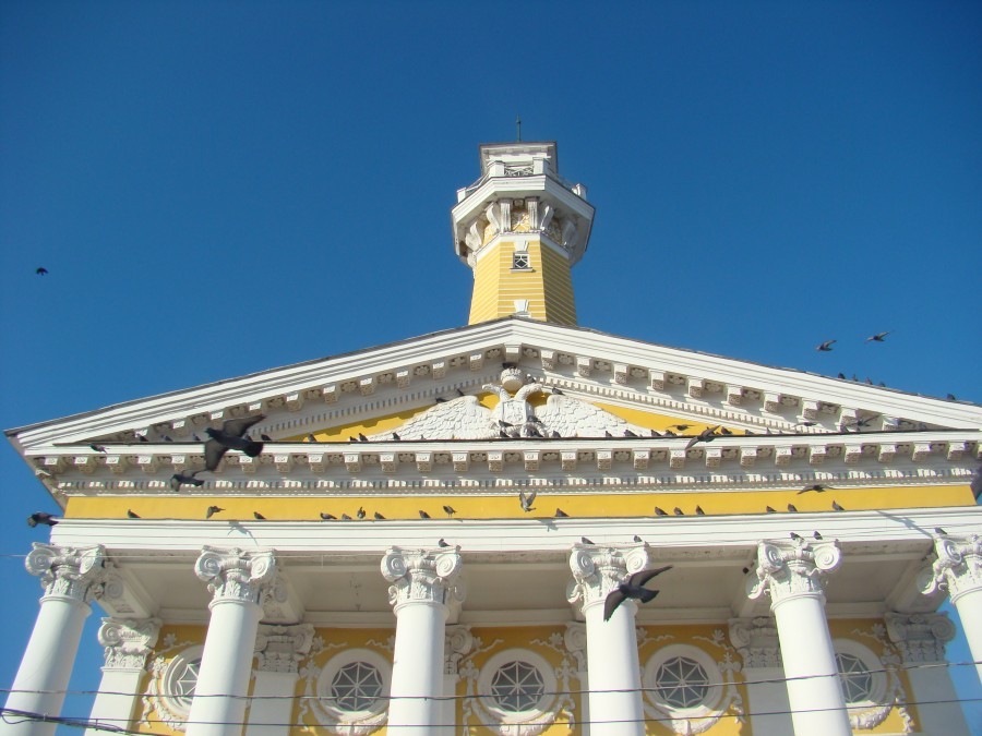 Костромских голубей обвинили в медленном пожирании Каланчи