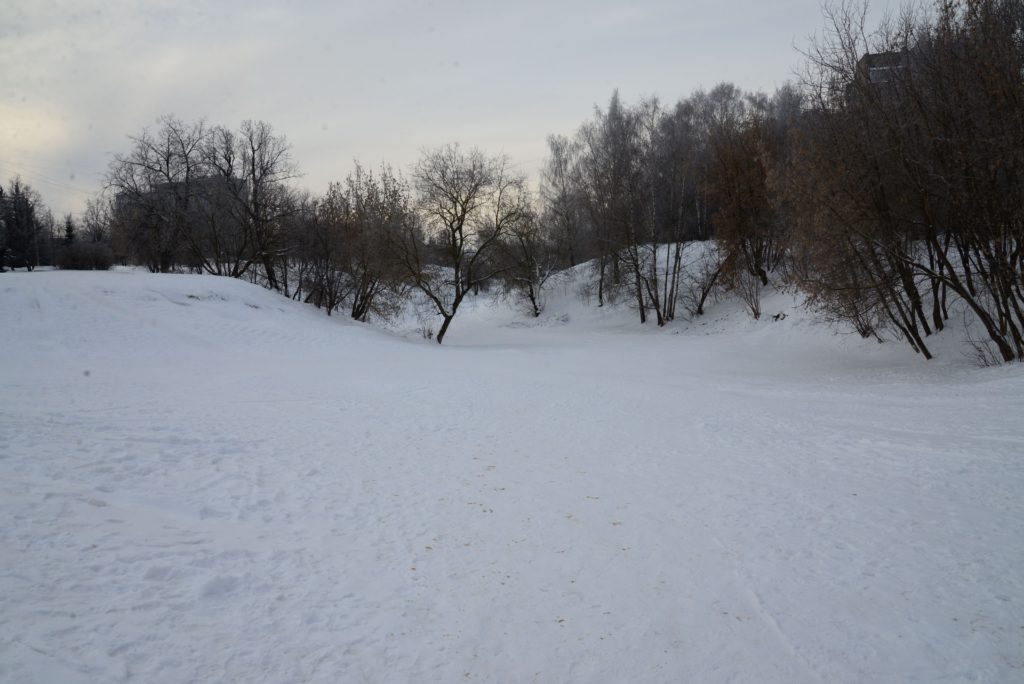 Новый парк в Костроме хотят основать на месте древнейшего борделя
