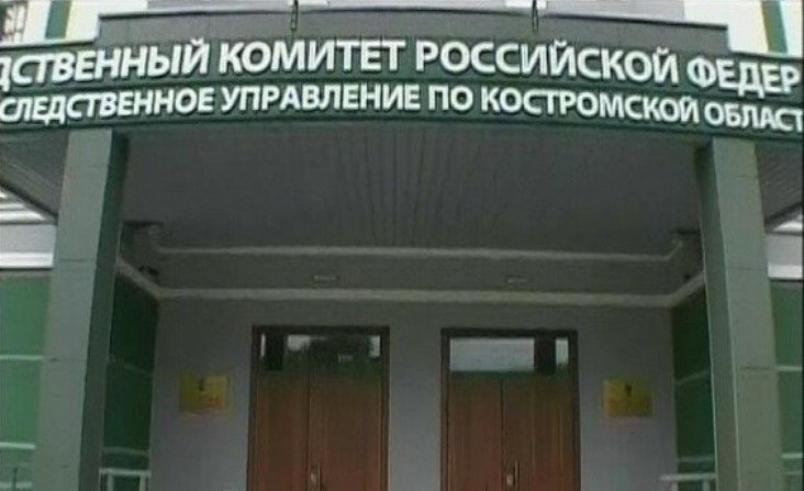 Собакой из публикации KOSTROMA.TODAY заинтересовались следователи