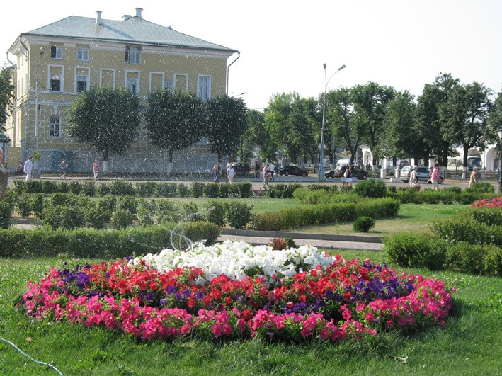 В городских клумбах Костромы оборудовали тайники для хранения наркотиков