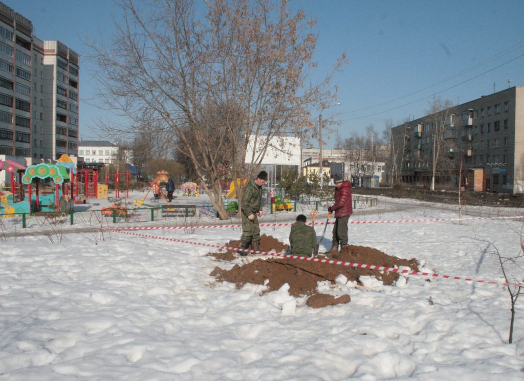 В спальных районах Костромы появились 7-метровые ели