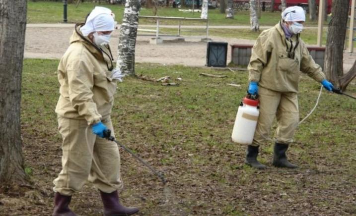 Борьбу с клещами в Костроме начнут с кладбищ