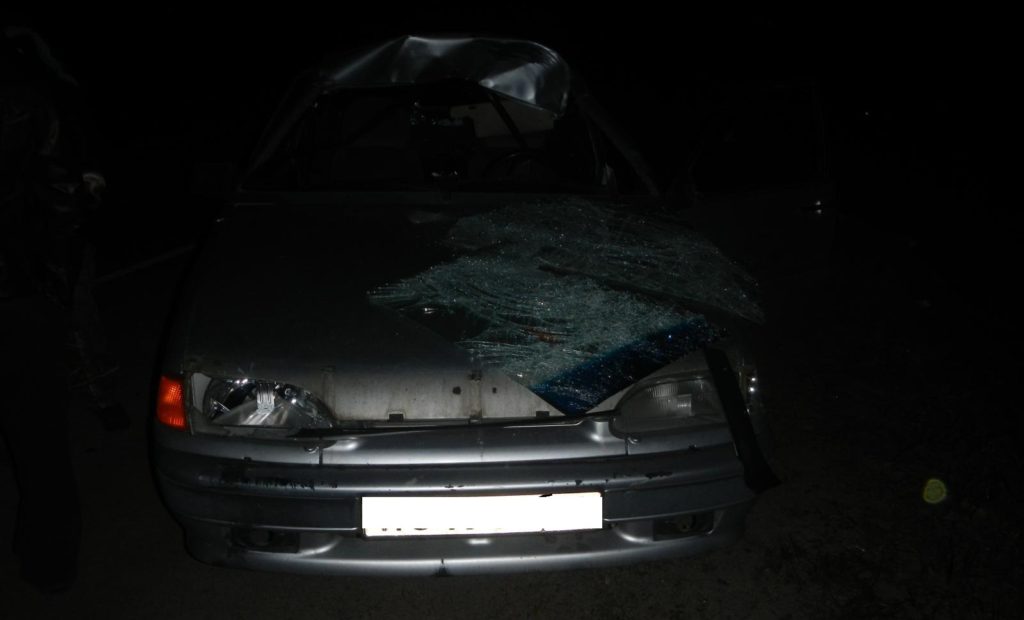 Большой лось ночью врезался в автомобиль на подъезде к Костроме