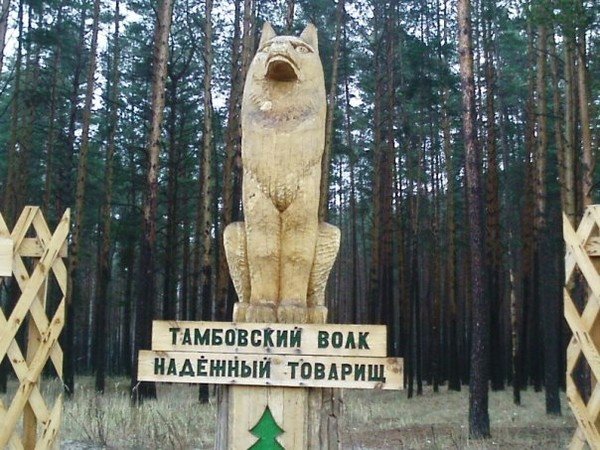 Руководителей костромского образования, медицины и спорта обнаружили в Тамбове