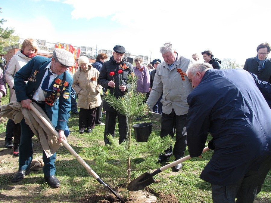 У чиновников Костромы вырвали признание, где посадят новые деревья
