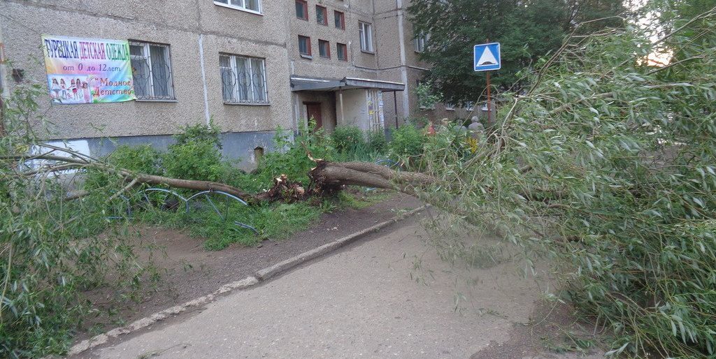 Страшный ветер в Костроме порвал провода, повалил деревья и сдул несколько детей