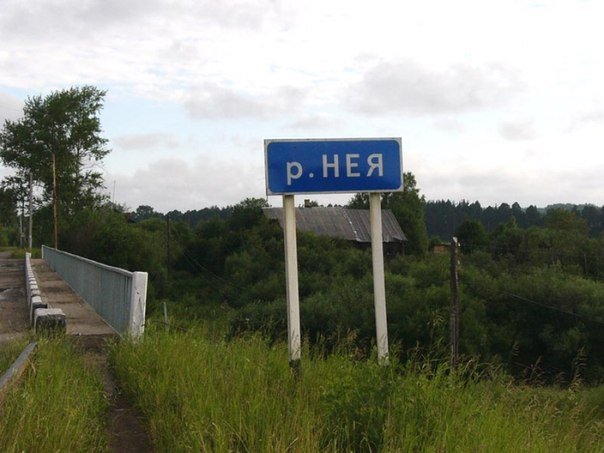 Костромичка утонула из-за того, что ее друзья не стояли на ногах