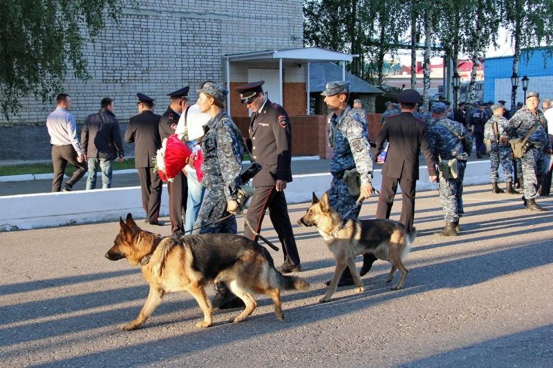 Полицейских собак в Костроме будут тренировать на прохожих