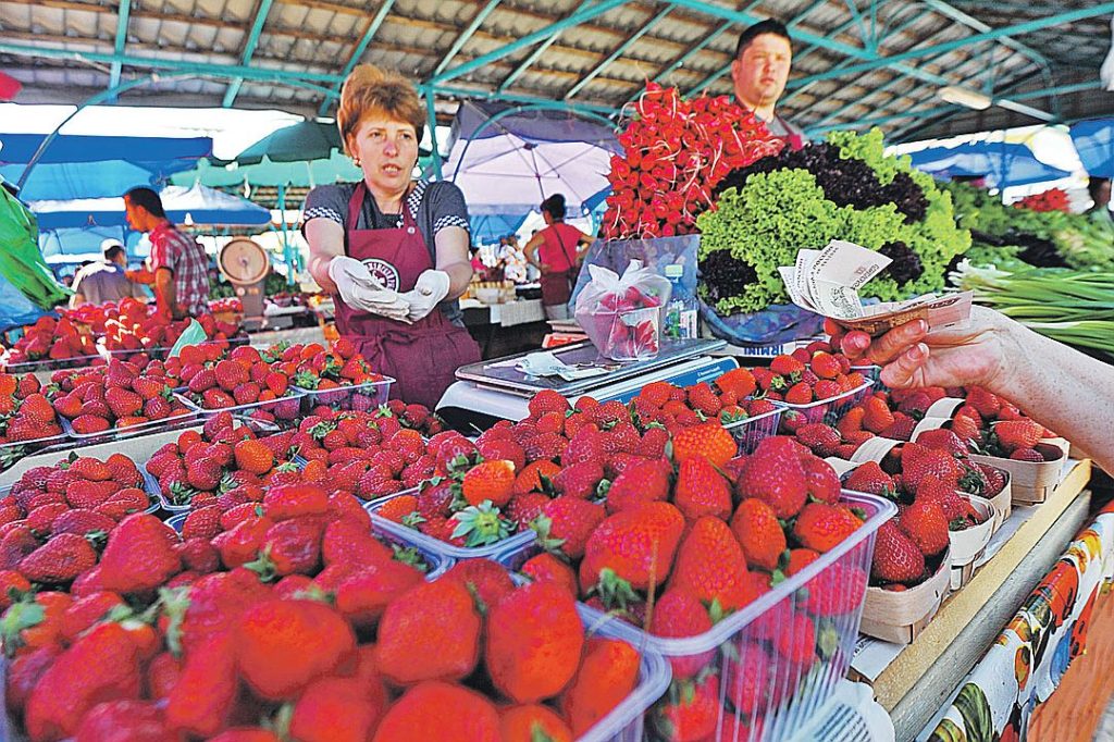 Хищные цены на клубнику в Костроме стремительно упали