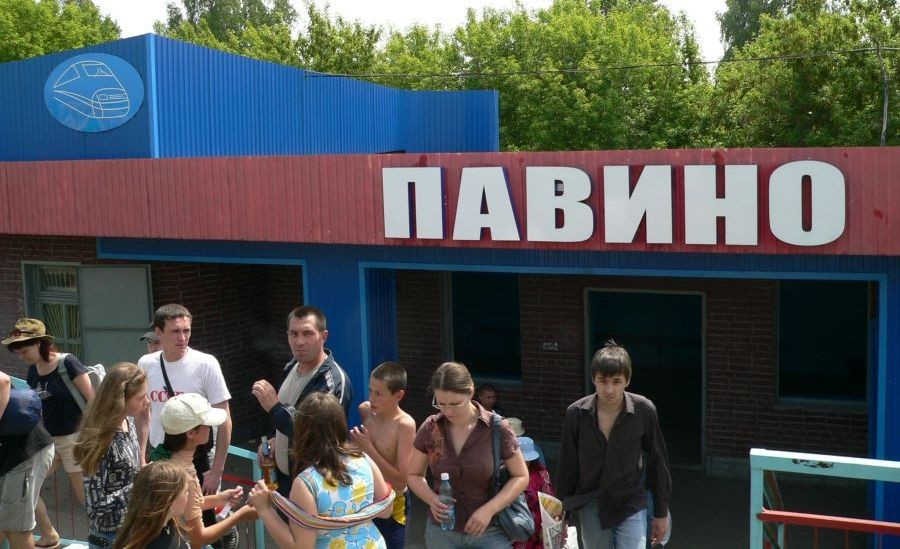 Безнаказанная лиса-убийца терроризирует в Костромской области целый муниципалитет