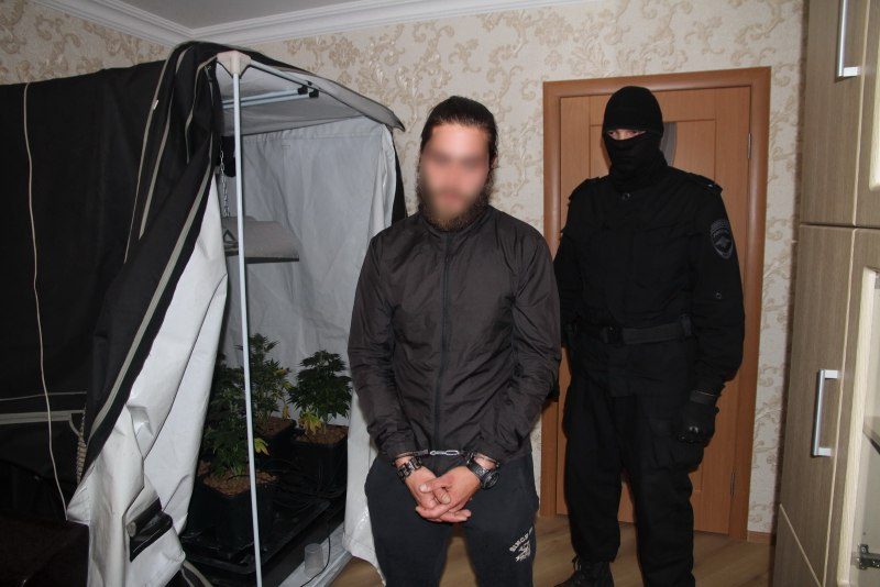Костромич на глухой окраине растил марихуану для пресыщенных жителей столицы