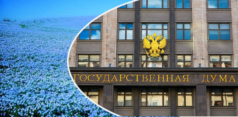 На острый вопрос о судьбе костромского льна сегодня в Госдуме ответил министр сельского хозяйства