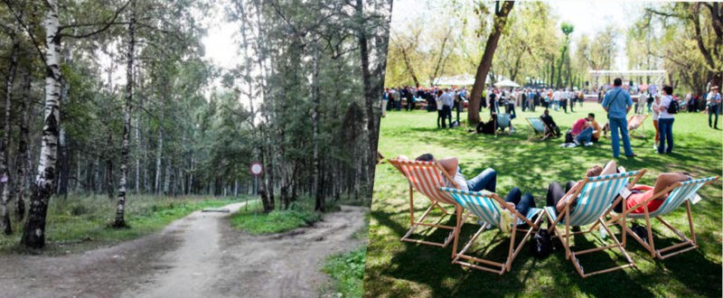 В Берендеевке в этом году не сделают ничего, кроме фонарей и асфальта