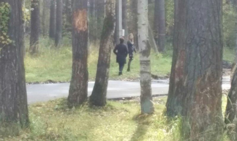 В Берендеевке с новенького асфальта изгнали костромичек на 20-сантиметровых каблуках