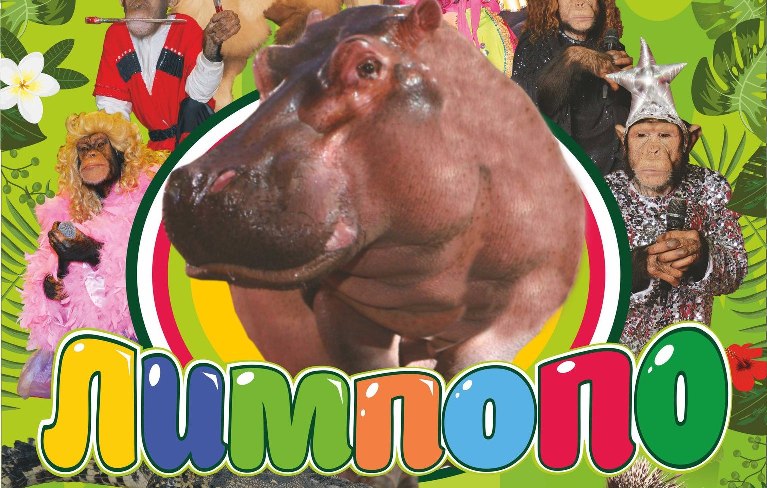 «Лимпопо»: бегемот, дикобраз и кенгуру показывают таланты на арене костромского цирка