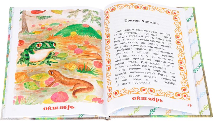 Книга костромской сказочницы восхитила Гринпис и многочисленных читательниц