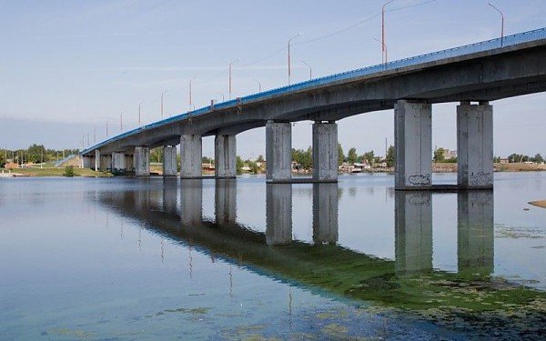 Костромичу удалось продержаться в ледяной Костромке более 10 минут
