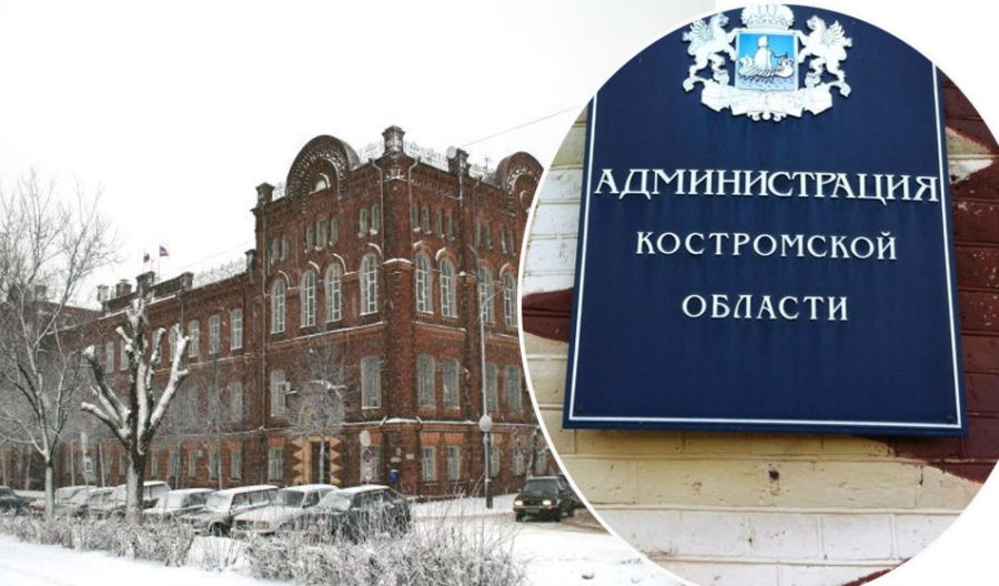 Власти рассказали, как борются со вспышкой с птичьего гриппа в Костроме