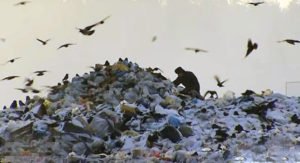Чиновники обнародовали доказательства безопасности нового мусорного полигона