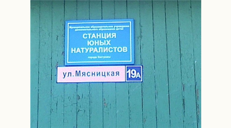 Продажа станции юннатов в центре Костромы не преподнесла сюрпризов