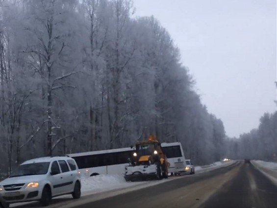 Пассажирский автобус улетел в кювет после встречи с лосем под Костромой