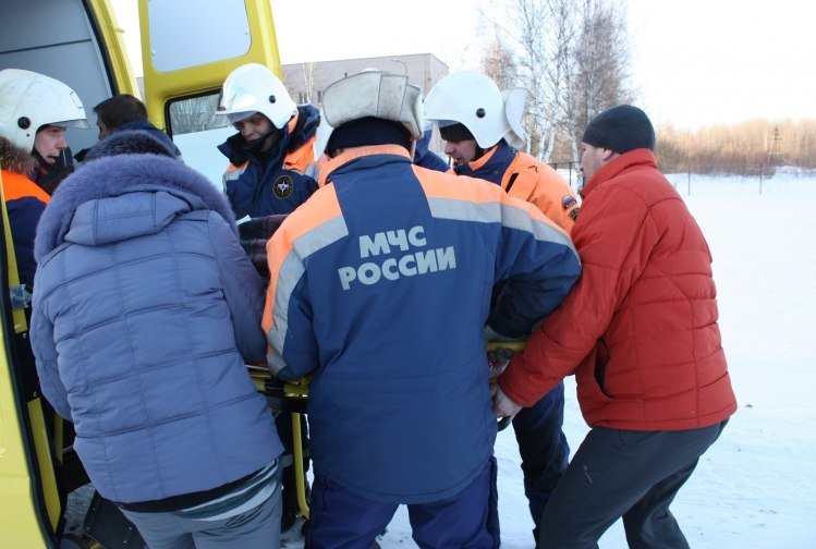 Милую пухлую собачку вытащили из бетона под Костромой
