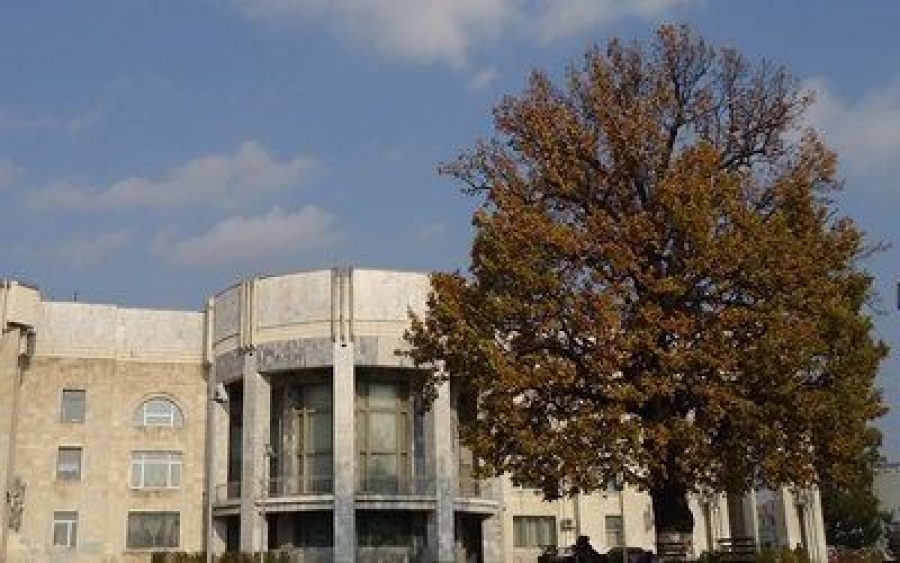 Дуб за костромской филармонией признали памятником