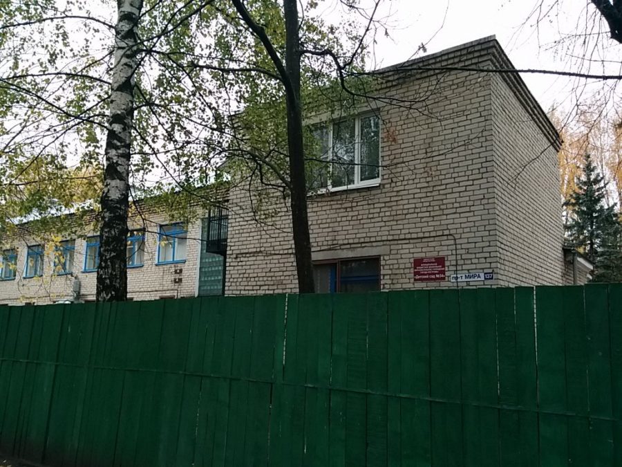Большая ворона запугала малышей в детском саду в Костроме