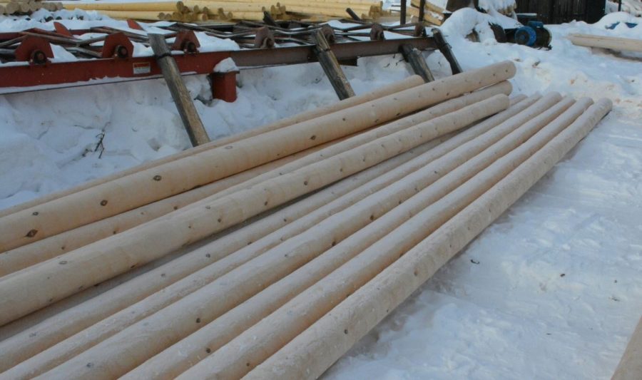 Завод по производству деревянных столбов для электролиний построят в Костромской области