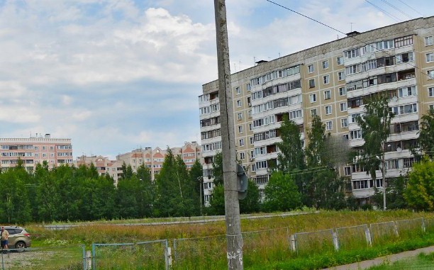 Березовую рощу в Заволжье вырубают ради школы на 1000 мест