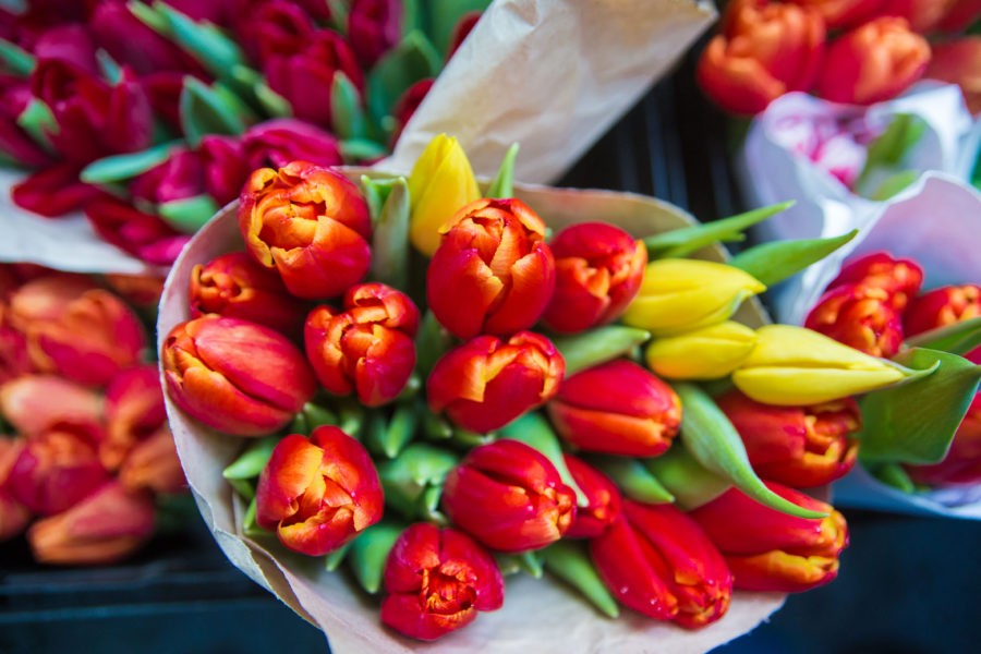 Купить Тюльпаны В Рязани С Доставкой