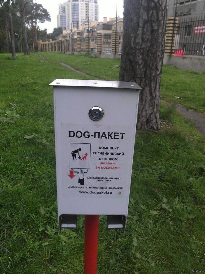 В гордуме потребовали расставить по Костроме аппараты для сбора собачьих фекалий
