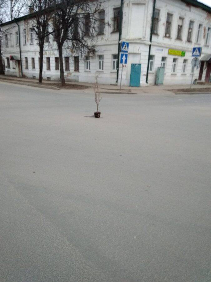 Середину улицы Свердлова украсил странный горшок