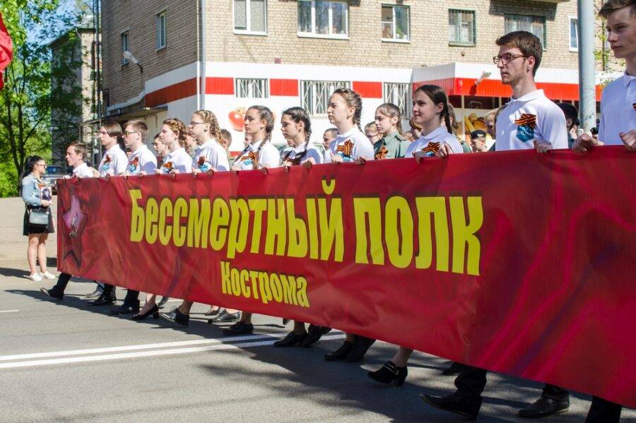 Костромичам предлагают записать предков в «Бессмертный полк» и узнать их судьбу