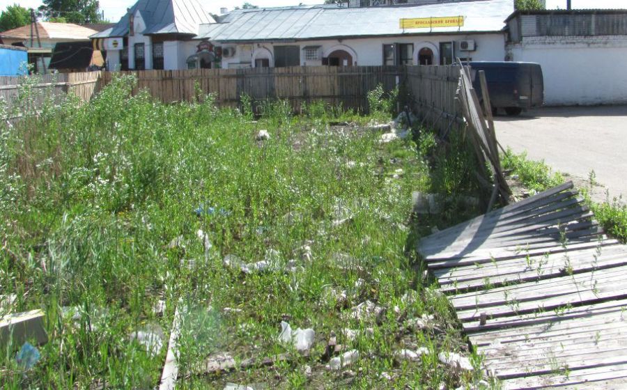 Жить по-костромски: вместо торгового центра обзавелись болотом в центре города