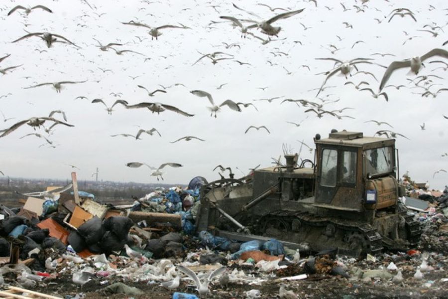 В Костроме запахло увеличением тарифа на вывоз мусора
