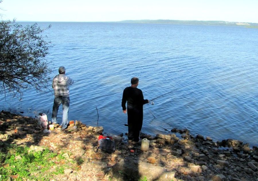 Рыбака с приступом эпилепсии вытащили из озера