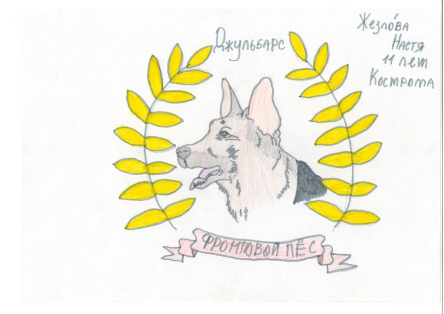Трогательно: костромские дети нарисовали собак-героев