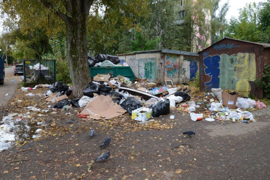 Чиновников заставят бороться с мусором с помощью новейшей карты помоек