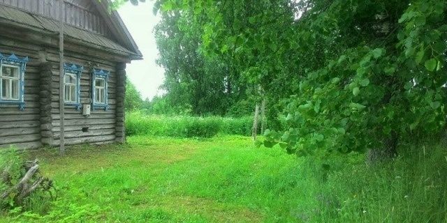 Костромской дачник стал жертвой озверевшего уголовника