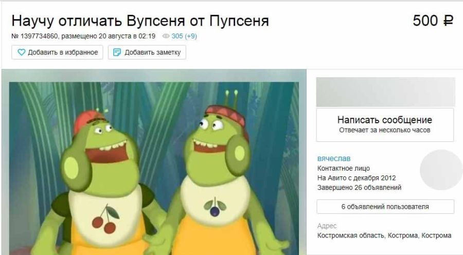 Костромич за деньги предлагает мастер-класс по персонажам «Лунтика»