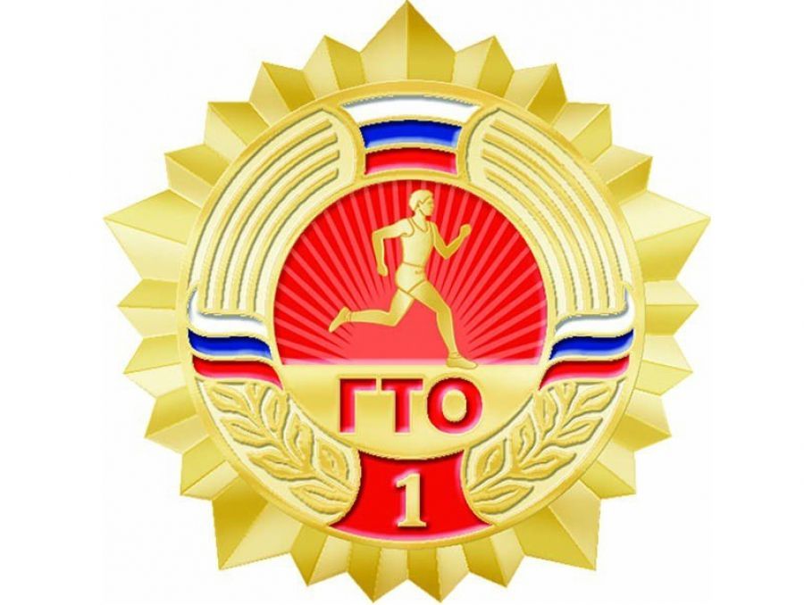 Костромичи смогут получить знак ГТО за отжимание и подтягивание. А где?