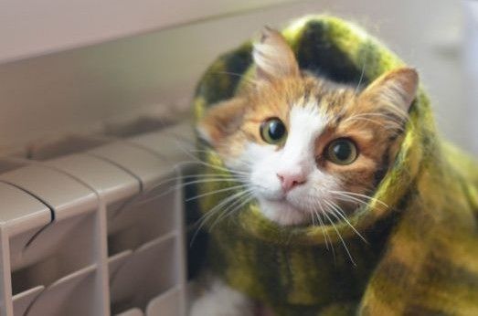 Костромичи сегодня могут пожаловаться на холод в квартирах